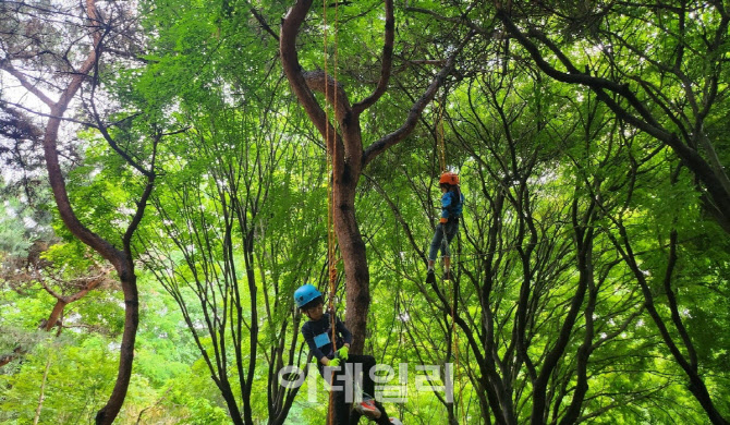'도심 속 숲에서 힐링'…고양시, 가족 유아숲 행사 개최