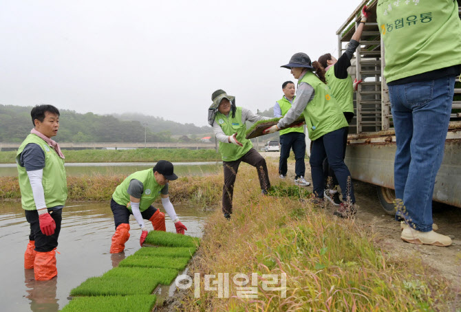 [포토] 농협유통 농촌봉사활동