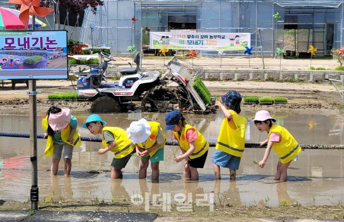 양주시, 어린이집 유아 대상 '꼬마농부 벼농사 체험'