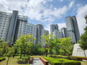 "지금이 싸다" 우르르…'대통령실 이전설' 세종만 들썩