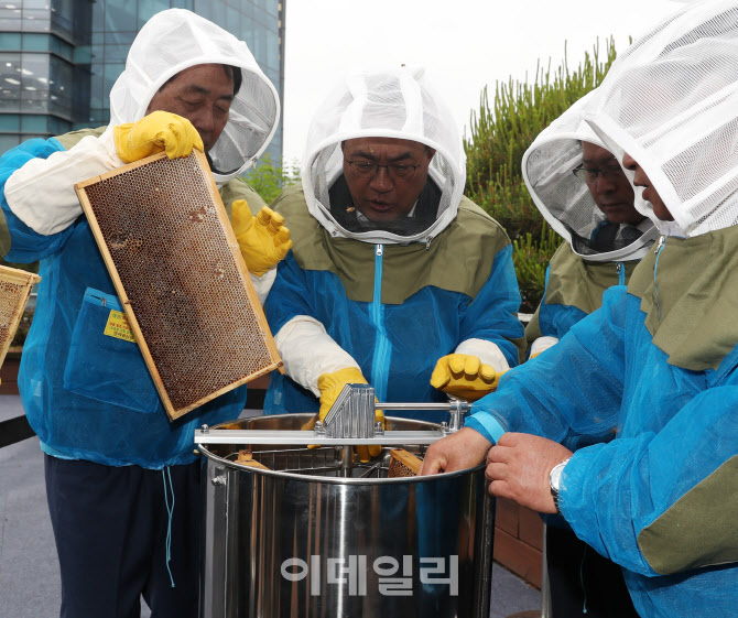[포토] 농협, 벌꿀 채밀 체험행사