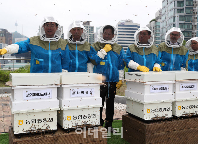 [포토] 도심 속 꿀벌 기르기