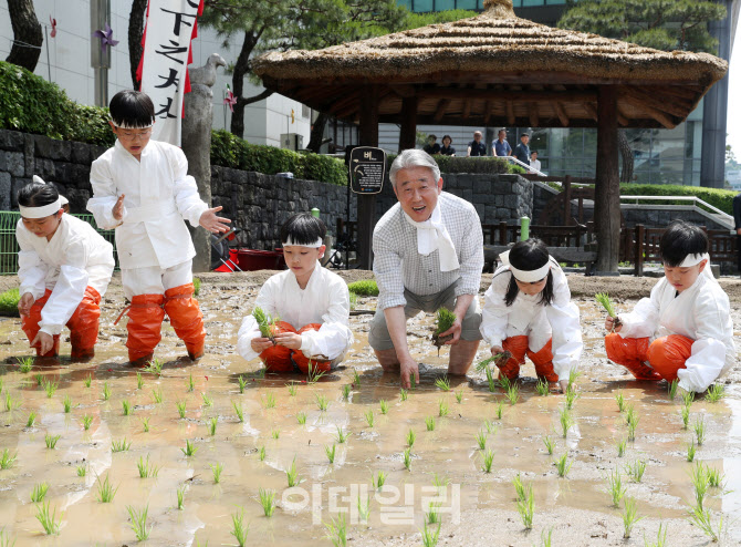 [포토] 농협, 어린이들과 전통 모내기 체험
