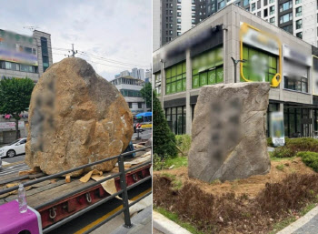 “돌 하나에 6000만원” 신축 아파트에 나타난 조경석에 ‘시끌’