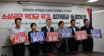소상공인연합회 “내년 최저임금 동결돼야…주휴수당 폐지도”