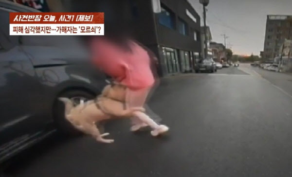 진돗개에 물려 근육 파열, CT 찍는다니…견주 “뼈라도 부러졌냐”
