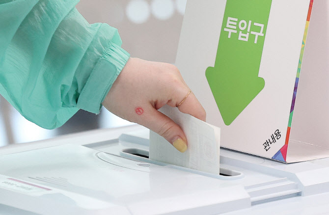 온몸에 성조기 감싸고…사전투표 참관한 40대, 현행범 체포