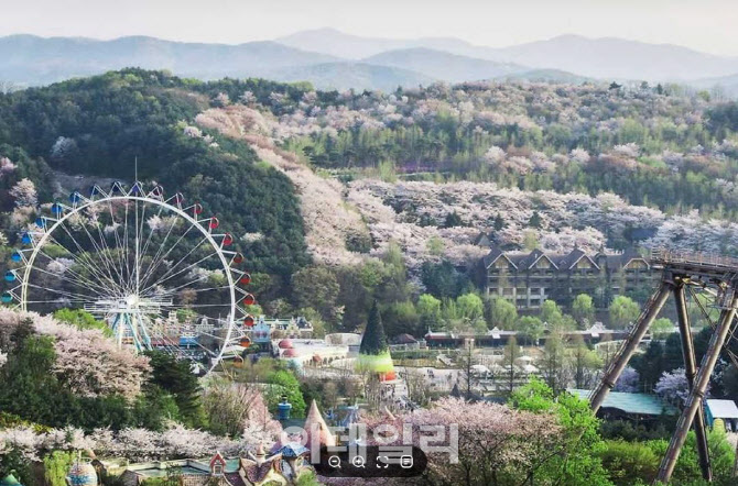 용인시 거주 장애인, 6월 셋째주 에버랜드·민속촌 ‘무료'