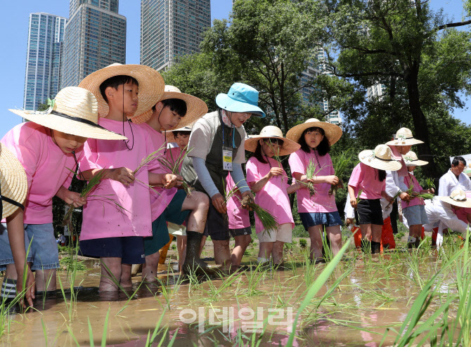 [포토] 양재천 농사 체험하는 어린이들