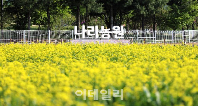 양주 나리농원 봄꽃 행사에 1만2000명 방문…전년比 6배↑
