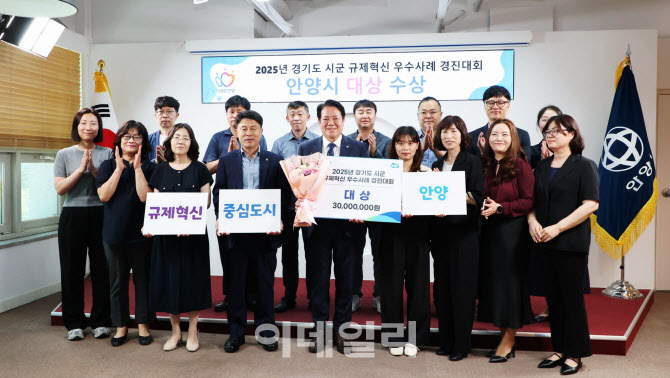 공중감시체계, 맨홀충격방지구..안양시 '규제혁신' 빛 봤다