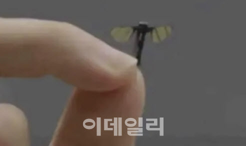 길이 2㎝, 무게 0.3g…中, 초소형 드론 개발