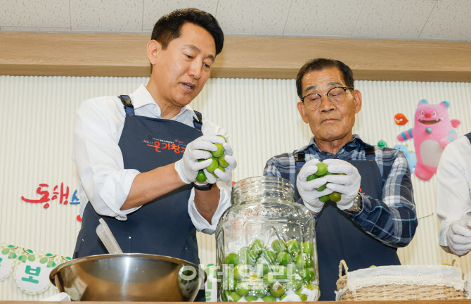 [포토] 매실청 담그는 오세훈 시장