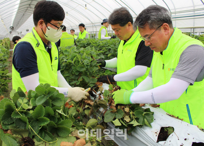 [포토] 농촌일손돕기 참여한 박서홍 농업경제대표이사
