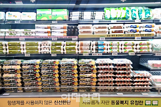 이랜드킴스클럽, 계란 한 판 6990원에 판다