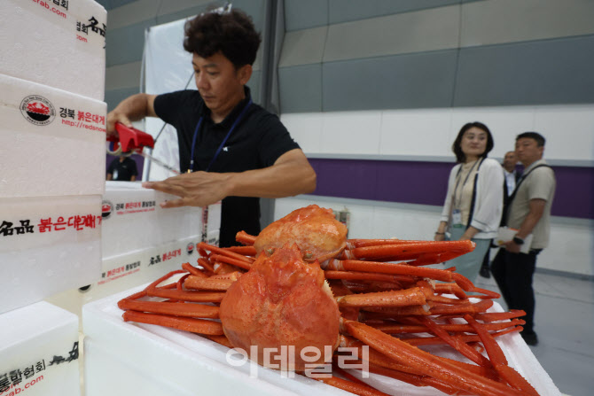 [포토]대개도 팝니다~