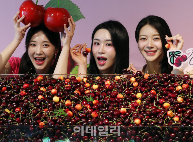 [포토] 7월 2일은 체리데이