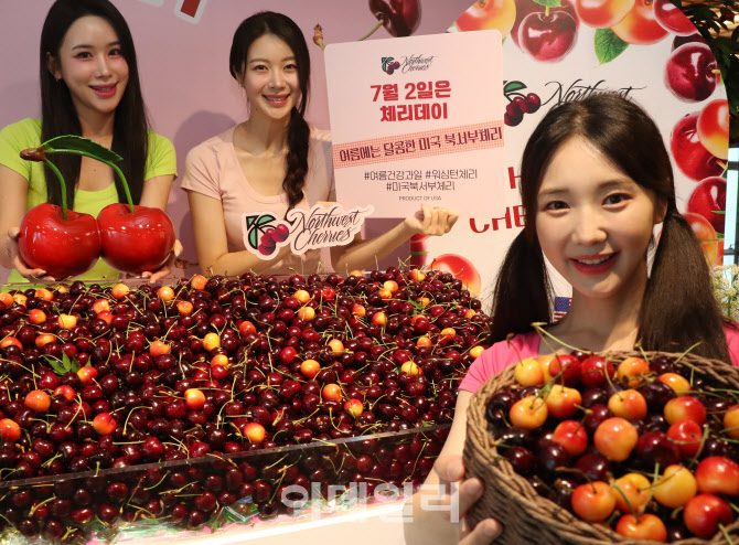 [포토] 워싱턴체리 출시