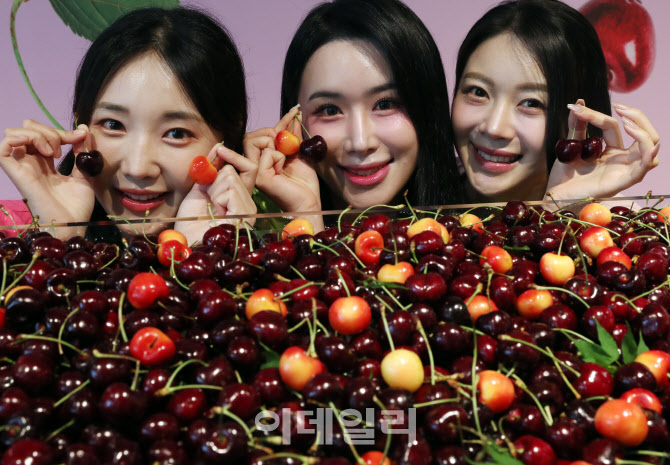 [포토] 여름체절과일 체리 출시