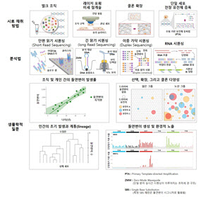 정상 인체 세포 돌연변이 발생 지도 완성