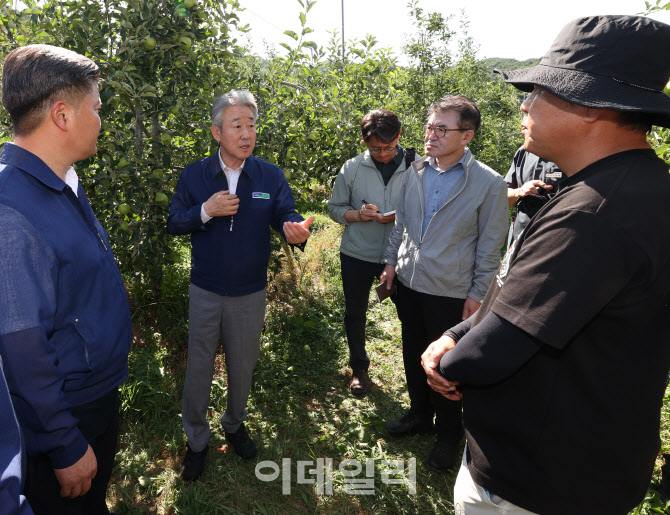 [포토] 일소 피해상황 점검하는 강호동 농협회장
