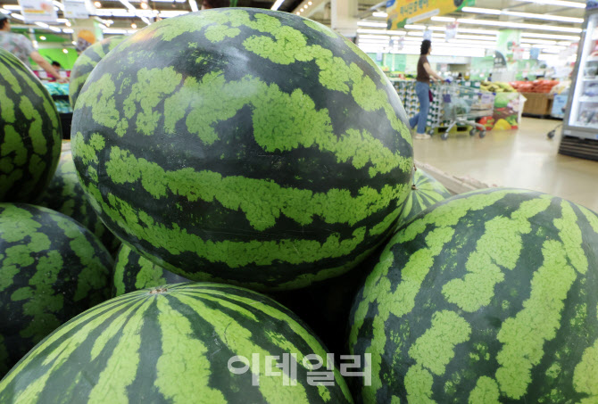 [포토]‘히트플레이션’... 폭염에 수박 한 통 3만원
