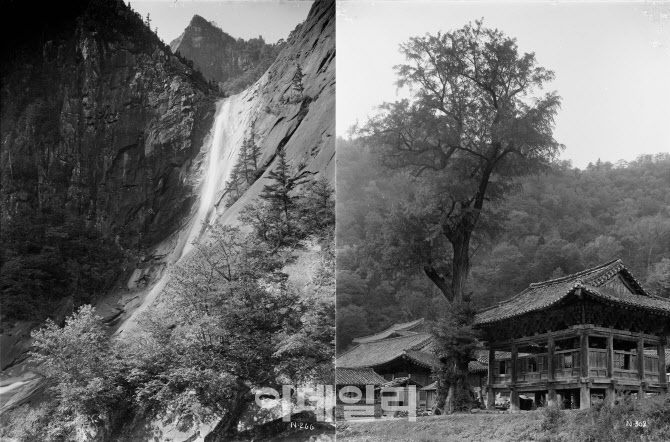 국립수목원, 광복 80주년 기념 100년전 기록 '금강산 사진전'