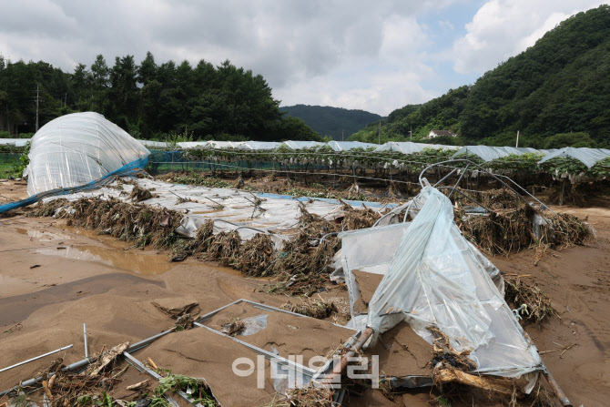 [포토]집중호우로 무너진 비닐하우스