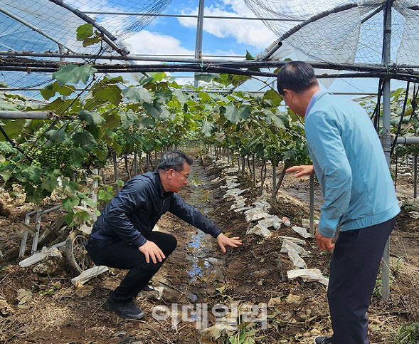 [포토] 박서홍 농업경제대표, 가평 집중호우 피해 농가 방문
