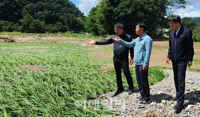 [포토] 박서홍 농업경제대표, 포천 피해농가 점검