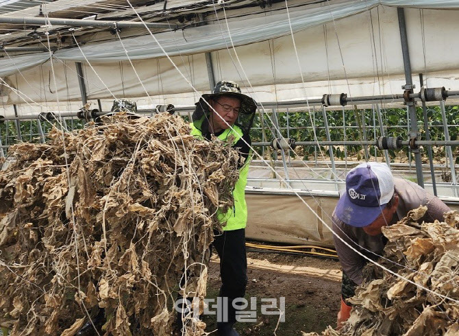 [포토] 수해복구 작업하는 박서홍 농업경제대표이사