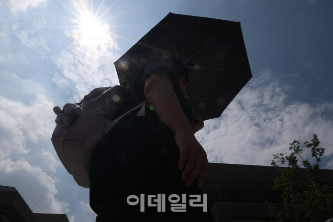 [포토]폭염 경보, 뜨거운 햇살