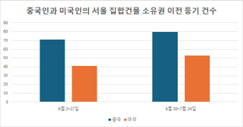 대출 막혔는데…"지금이 기회" 중국인, 서울 아파트 쇼핑