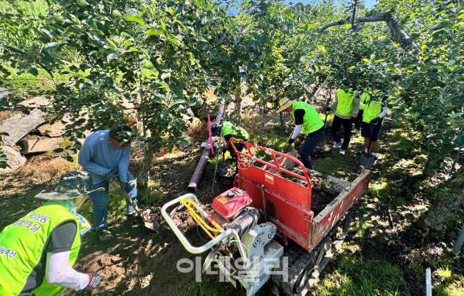 [포토] 농협 축산지원본부, 수해복구 봉사활동