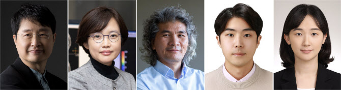 이화여대·IBS, 뇌 속 ‘별세포’로 PTSD 치료 가능성 발견