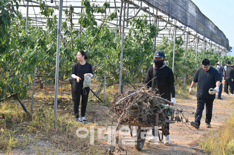 충남도 대변인실 직원들도 수해 복구에 구슬땀