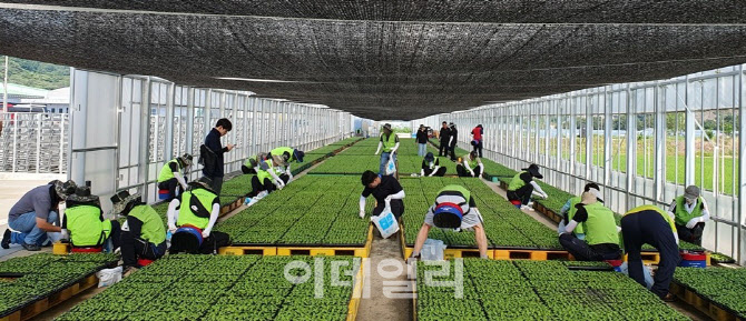 [포토] 농신보, 수해 피해 농업인 지원