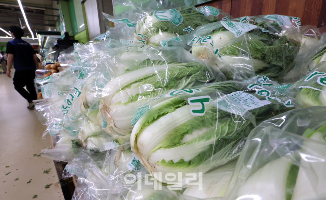 [포토]폭염발 물가급등 현실로 … 채소·과일 줄줄이 가격 급등