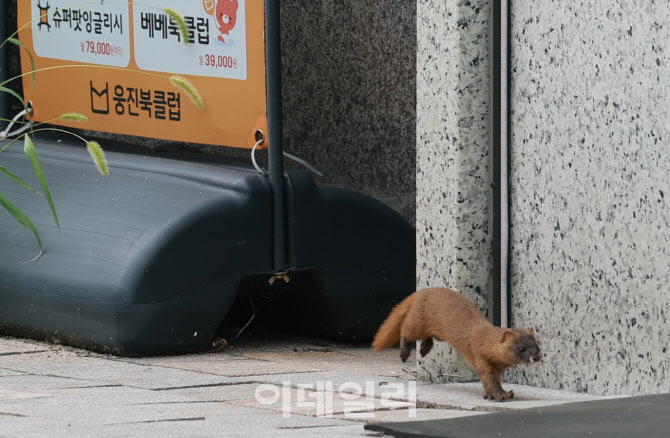 [포토]'니가 왜 거기서 나와'