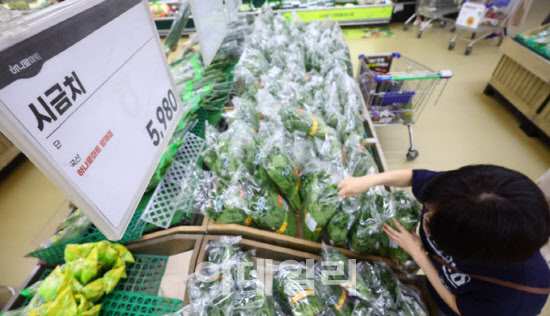 "시금치 나물 해먹기도 겁난다"…폭염에 '미친 물가'(종합)