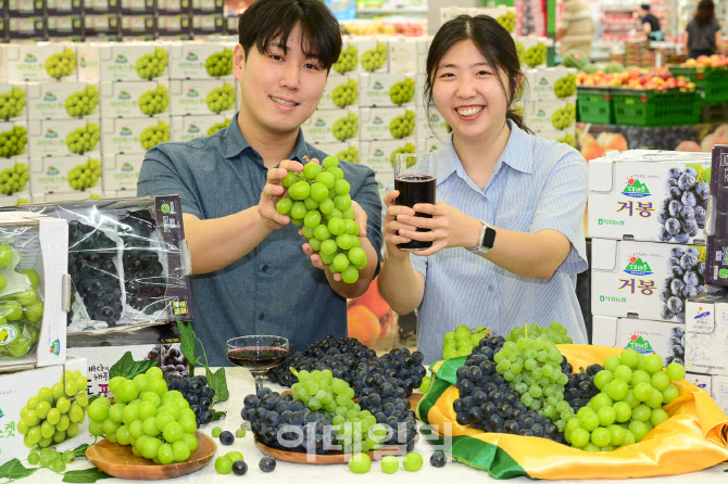[포토] 농협유통, 여름철 과일 '포도' 할인 판매