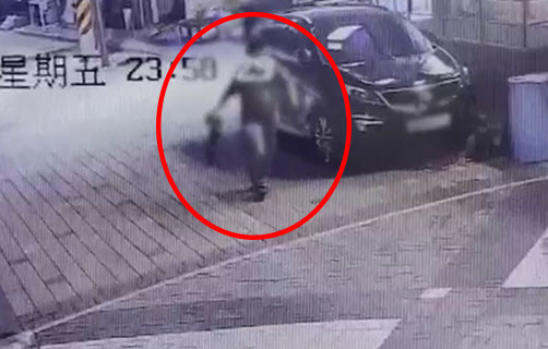 "손 할퀴어서"…길고양이 고깔에 가두고 불붙인 20대 검찰 송치