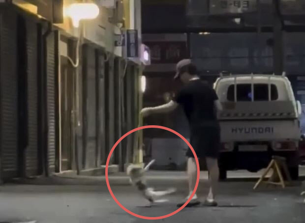 반려견 목줄 잡고 흔들어…학대추정 영상에 경찰 내사