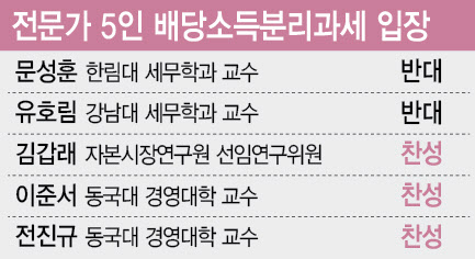 대주주 기준 강화가 문제? 배당 분리과세가 더 큰 문제