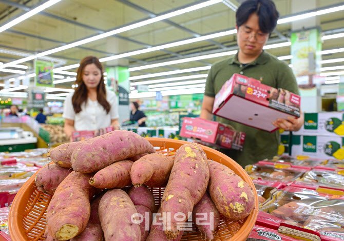 [포토] 영양간식 '햇고구마' 출시