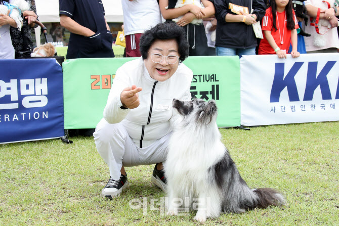 댕댕이와 함께 가을 피크닉 '제3회 이천펫축제' 9월 개막
