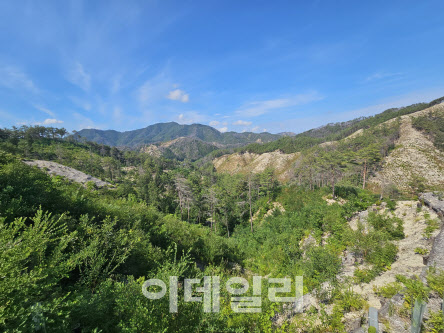 대형산불 피해지, 교육·체험·연구의 장으로 부활
