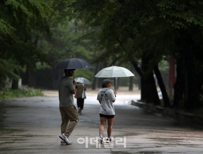 [포토] 비를 즐기는 방법