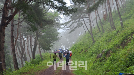 산주와 지역 공동체가 함께 푸른 황금숲을 일구다