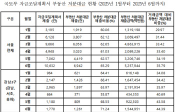 "평생 강남 못 가면 어떡해"…6·27 규제 전 집 팔았다